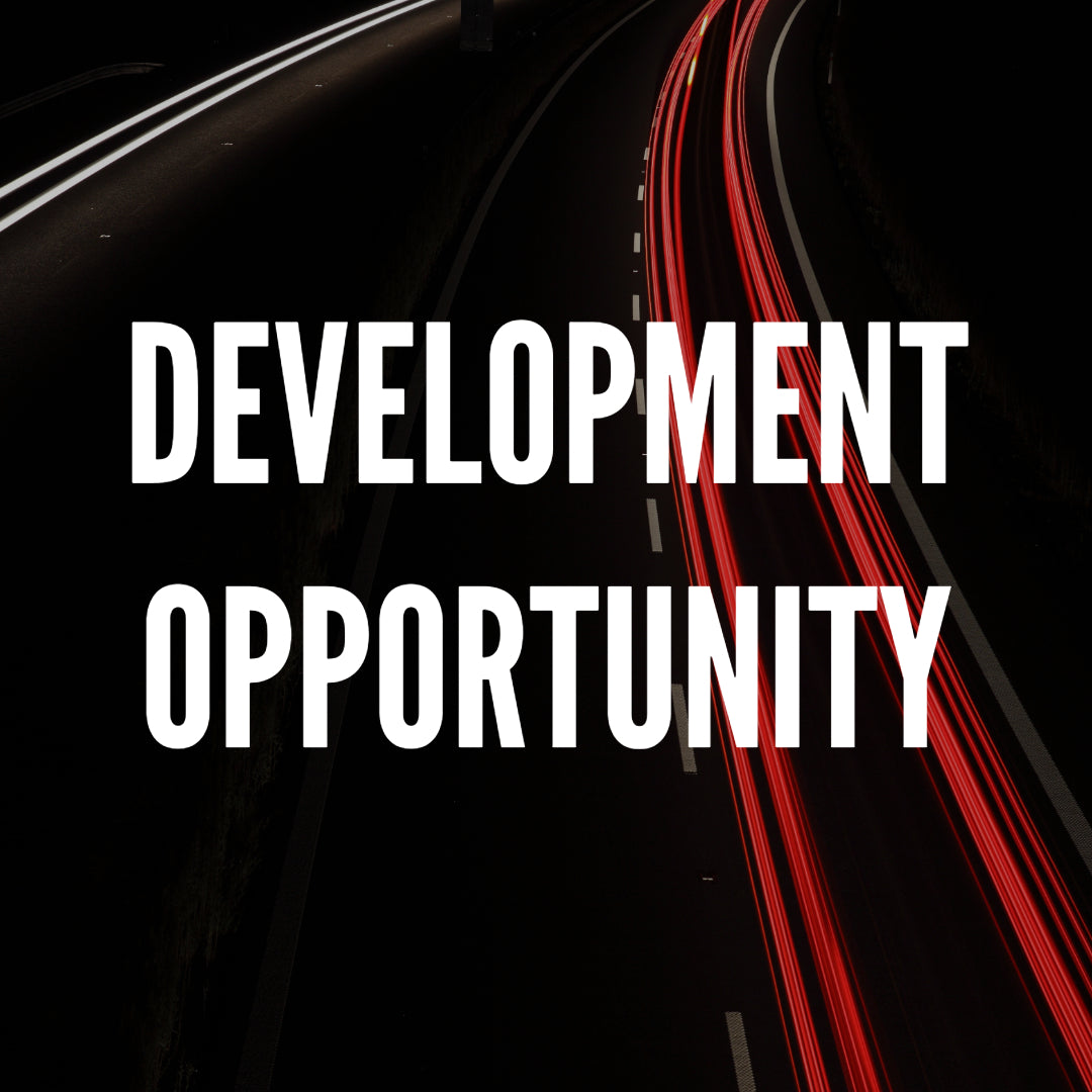 VW Polo R-Line 1.2L TSI (2009-17) Venom Rear Performance Exhaust