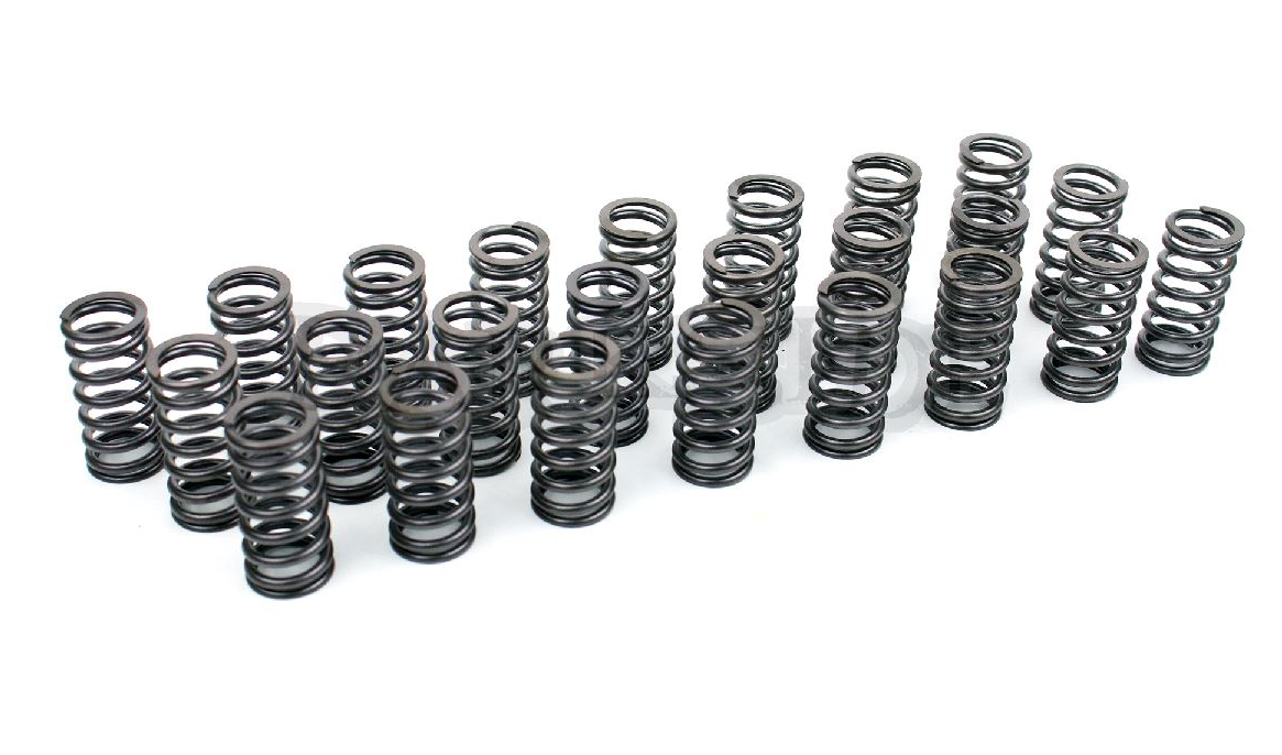 BMW Diesel M57 M57N M57N2 Performance Valve Spring Kit (24) - 30% Higher Seat Pressure, Prevents Valve Float - Fits 330d 335d 530d 535d E39 E60 E90 - For OEM/Upgraded Cams to 9.3mm Lift - Replaces 11342247172