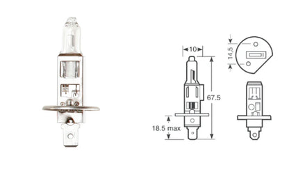 IllumiNite H1 Ice White Main Beam Bulb Upgrade – 6500K Bright White (448 | P14.5s)