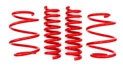 V-MAXX Autosport Lowering Springs Kit for BMW 3 Series F30 Saloon/Sedan (2011-2019) - Progressive Sport/Coil Springs 20-45mm Drop - Suspension Lowering Upgrade - Stance Drop Kit - Fits 316i 318i 320i 328i 330i 335i 340i 316d 320d 325d 330d