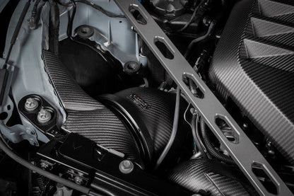 Eventuri Frozen Carbon Intake LIMITED EDITION - G8X M3 M4