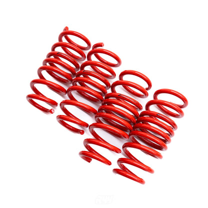 AST Lowering Springs For BMW Z3 2.0/2.2/2.8/3.0 01/1998-2002, Front 30 , Rear 30