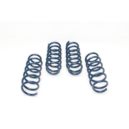 Dinan Lowering Springs for BMW 5 Series G30 M550i xDrive Saloon/Sedan - Sport Coil Spring Kit, Performance Suspension Springs, Lowering Kit 19mm (3/4") Drop Front and Rear, Stance and Handling Upgrade UK