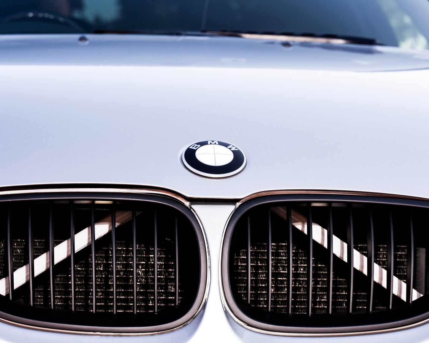 Glow White V-Brace/V-Support Decals for BMW – Kidney Grille V Bar Sticker Overlay Vinyl Wrap | Luminous Front Radiator Support/Crash Bar Accent Film | Glow Effect, DIY Removable, UK Made