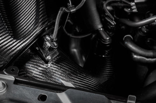 Eventuri Carbon Fibre Cold Air Intake/Induction Kit for BMW 3 Series G20 B48 (318i 320i 330i 330e Hybrid) Pre 11/2018 - Sealed Carbon Fiber Airbox, High Flow Dry Filter,