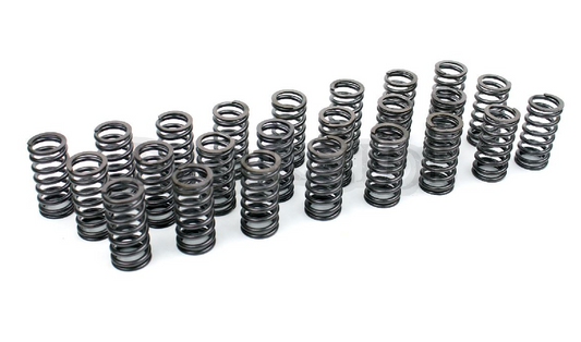 BMW Diesel M57 M57N M57N2 Performance Valve Spring Kit (24) - 30% Higher Seat Pressure, Prevents Valve Float - Fits 330d 335d 530d 535d E39 E60 E90 - For OEM/Upgraded Cams to 9.3mm Lift - Replaces 11342247172