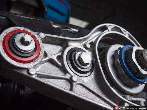 Turner Dual-Mount Rear Differential Brace/Plate + ECS Tuning Poly Diff Bushings for BMW M2 M3 M4 F8X (F87 F80 F82 F83) - Final Drive/Diff Mount Support Upgrade, Wheel Hop & Axle Tramp Fix, S55 Driveline