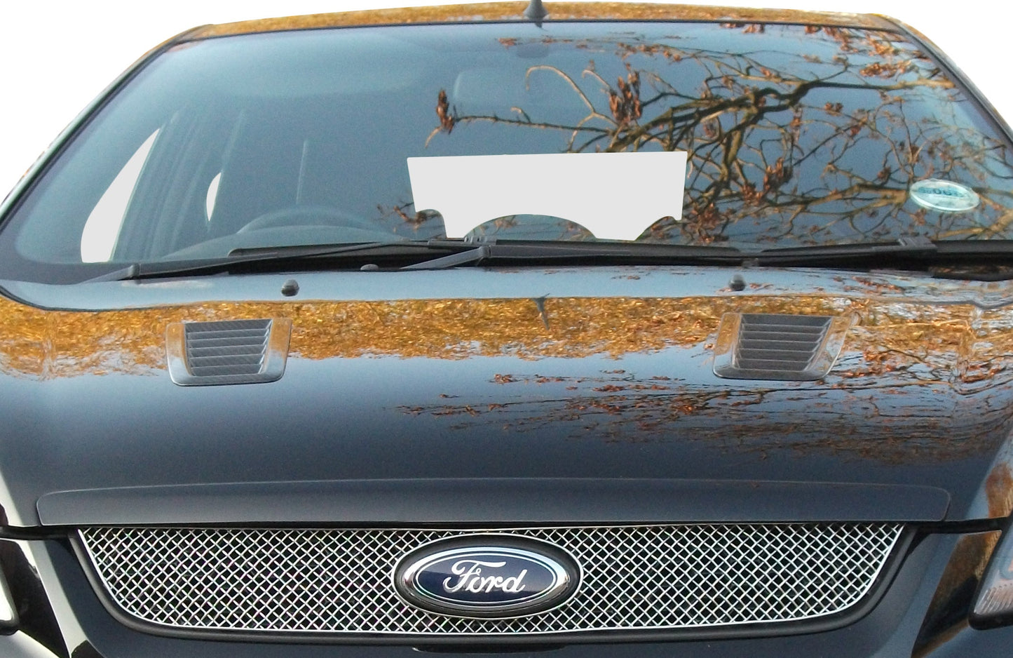 Ford Focus Genuine Zunsport Stainless Steel Woven Mesh Grilles  Front