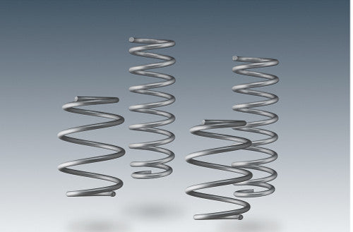 AC Schnitzer Lowering Springs Kit for BMW X1 E84 2009-2015 (sDrive & xDrive) - Sport Springs/Drop Springs Coil Spring Set - SE & M Sport - 15-25mm Ride Height Drop - Performance Suspension Upgrade