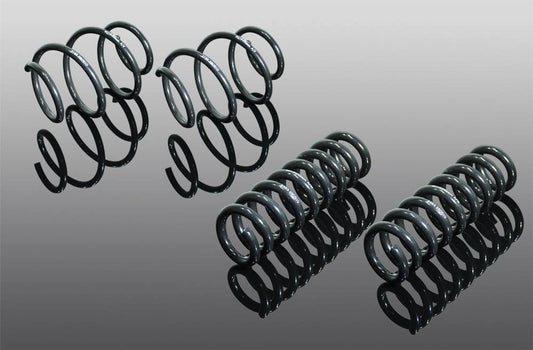 AC Schnitzer BMW X3 G01 & X4 G02 Lowering Springs 20-25mm | Sport Suspension Drop Coil Spring Set | xDrive AWD & Adaptive M Compatible | Fits 20i 30i 30d M40i M40d | 2016+ 2017+ | Part 3130301110